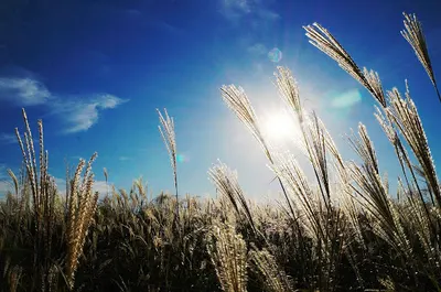 Gabinet psychoterapii i pomocy psychologicznej Ewa Koper-Zając